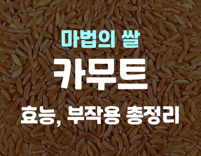 카무트쌀 효능 당뇨에 좋은 카무트 효과, 부작용 총정리