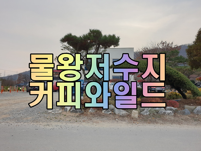 물왕저수지 커피와일드(COFFEE WILD) 시흥카페 방문 후기