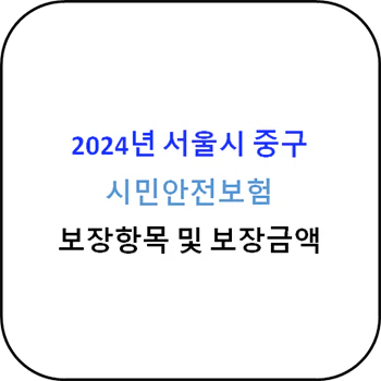 2024년 서울시 중구 시민안전보험 상세정보