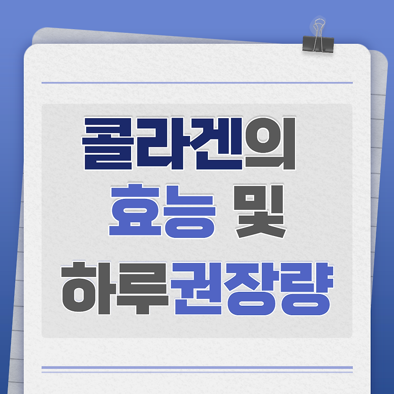 콜라겐의 효능 및 하루권장량