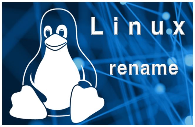 리눅스 기본 명령어 rename 예제 사용법 리눅스 파일이름 바꾸기