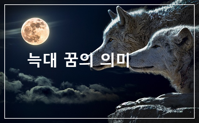 늑대 꿈의 의미 상황으로 영적 진단!