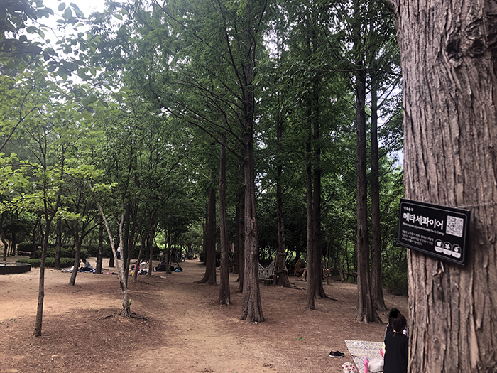 서울 시내 아이와 가기 좋은 숲 높이터, 월드컵공원 유아숲체험원