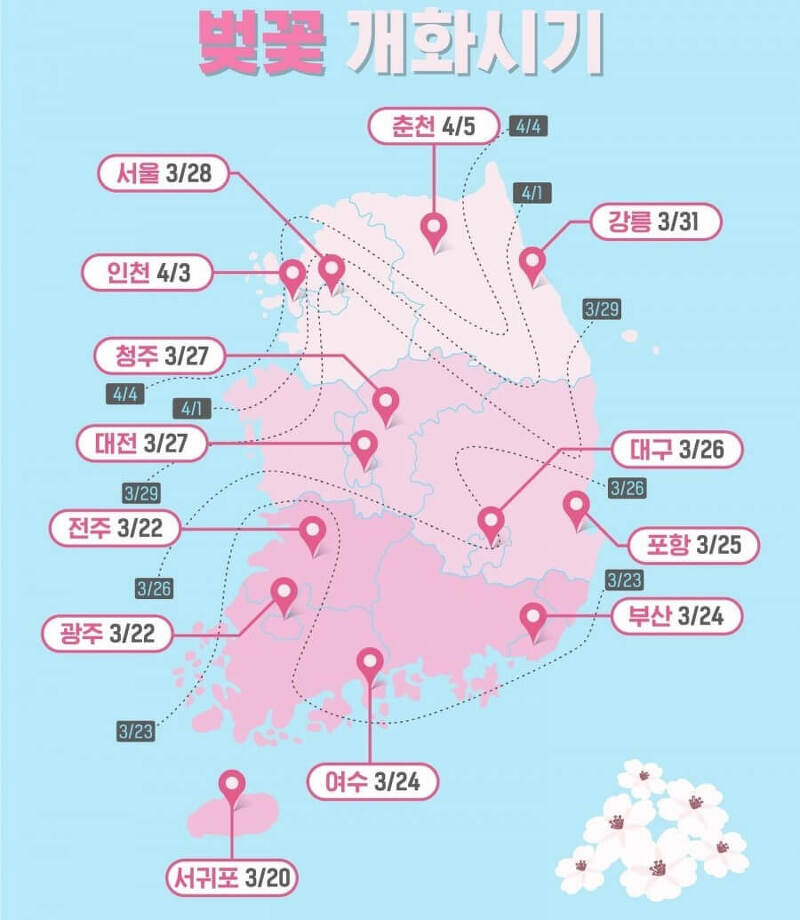 2023년 대한민국 벚꽃 축제 가이드 제일 아름다운 봄 행사를 즐기는 방법