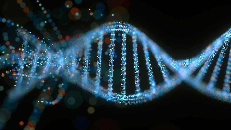 DNA는 사실상 무의미하다?