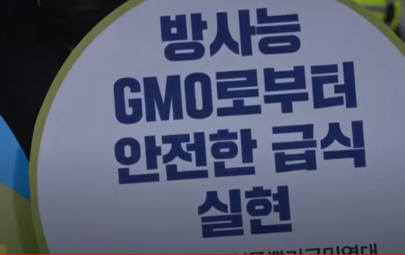 GMO 유전자조작식품 안전할까?