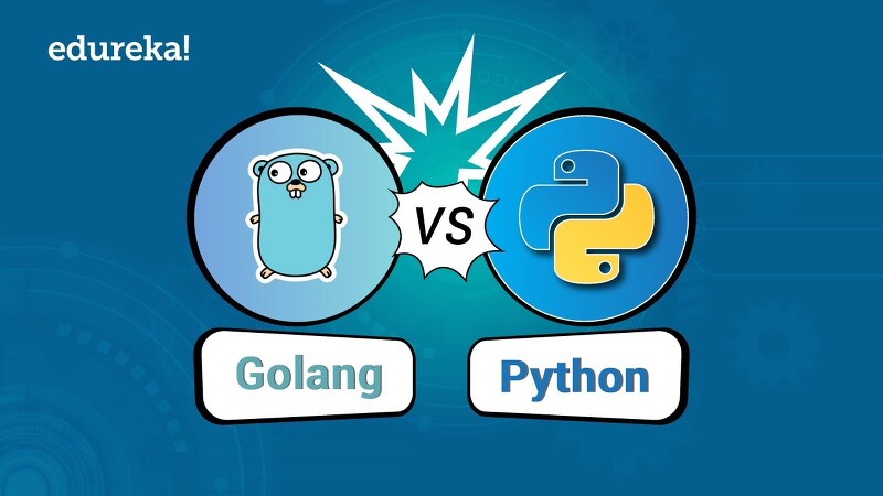 Go vs Python, 비교 선택 가이드