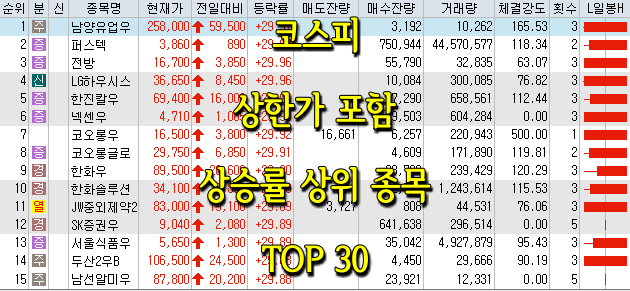 코스피/코스닥 상한가 포함 상승률 상위 종목 TOP 30 (0618)