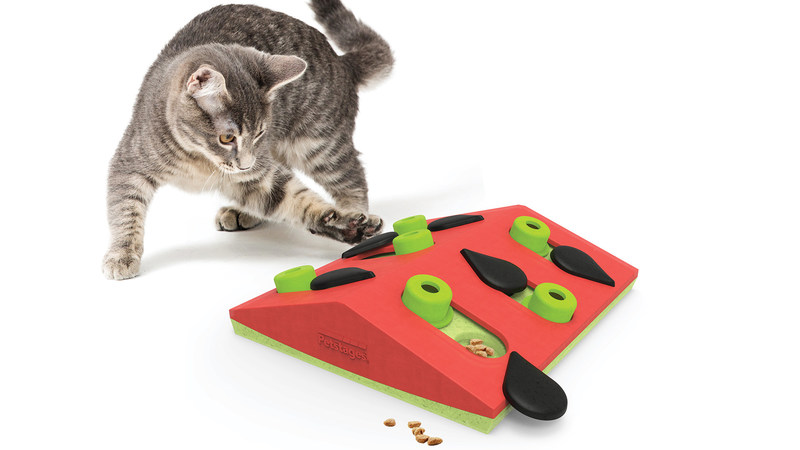 월마트, Nina Ottosson의 고양이 퍼즐 장난감 출시