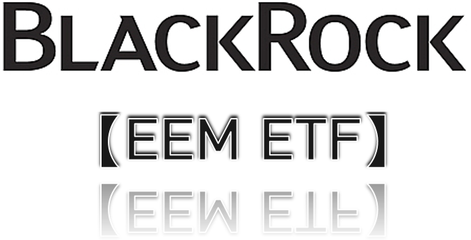EEM ETF _ 이머징마켓(신흥시장) 투자 이걸로는 하지 마세요!!