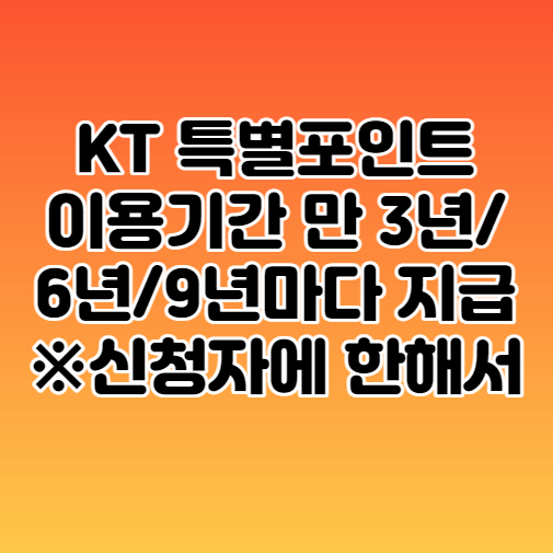 KT VIP VVIP 등급 조건 (추가포인트, 생일 기프트)