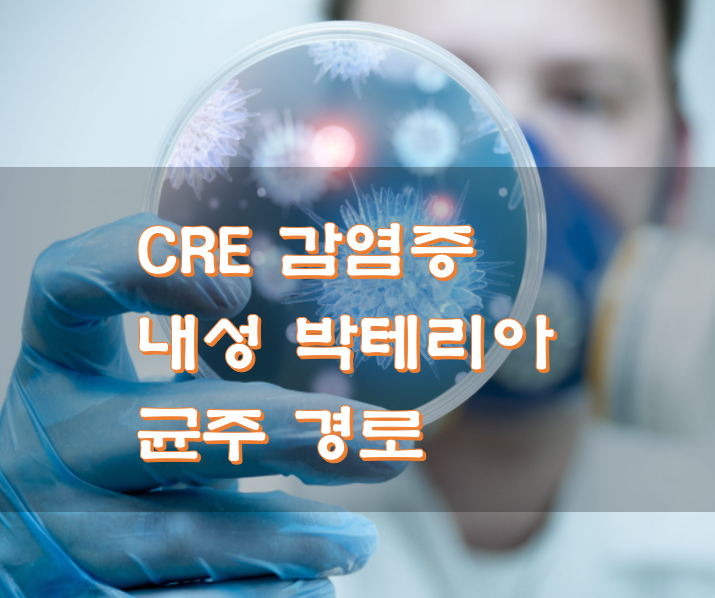 CRE 감염증 내성 박테리아 균주 경로