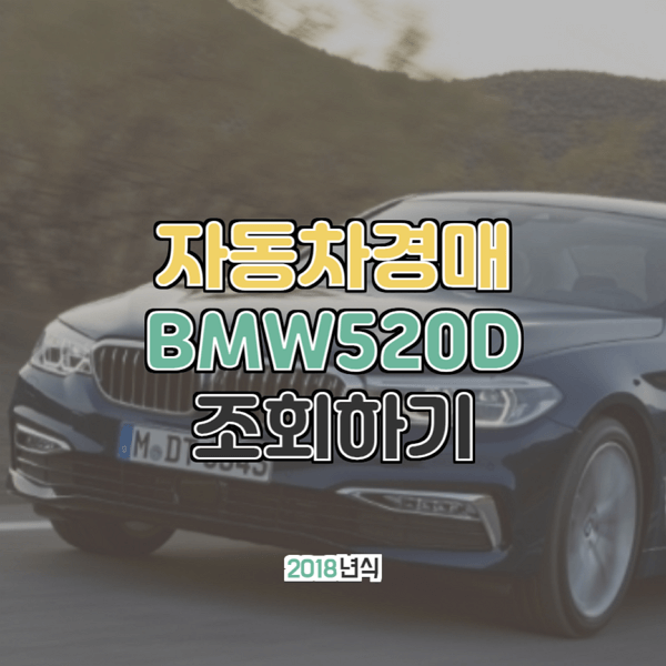 대법원 자동차경매 BMW 520d 2018년형