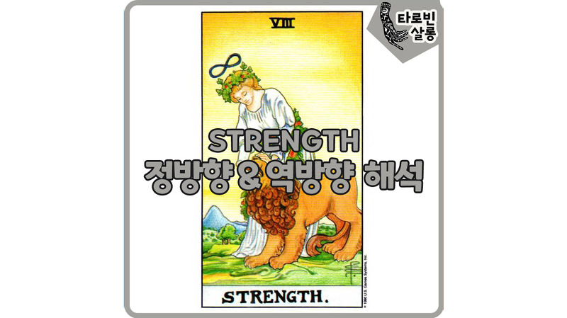 [웨이트 타로 해석] 8. STRENGTH  힘 카드 정방향 & 역방향 의미 해석
