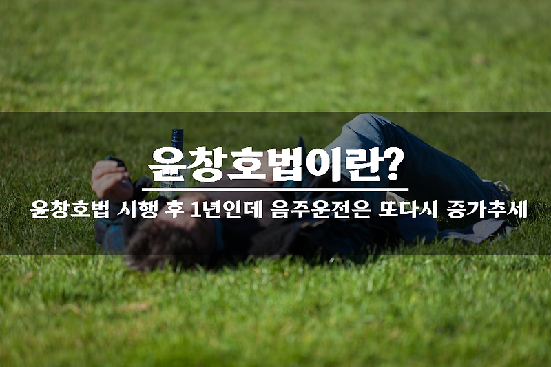 윤창호법이란? 윤창호법 시행 후 1년인데 음주운전은 또다시 증가추세