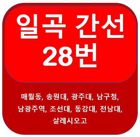 일곡 28번 버스노선 정보(송원대,광주대,조선대,전남대)