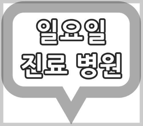 서울시 공휴일 진료 안과 병원, 일요일 진료 하는 안과 병원 현황