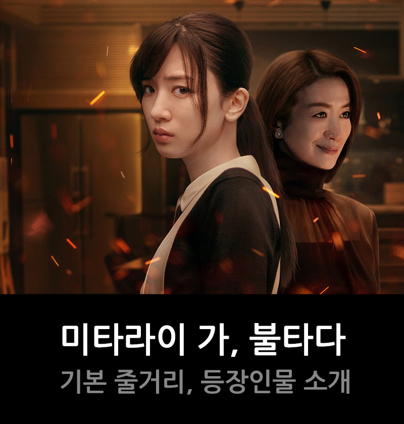 넷플릭스 일본 '미타라이 가, 불타다' 기본내용과 등장인물 소개