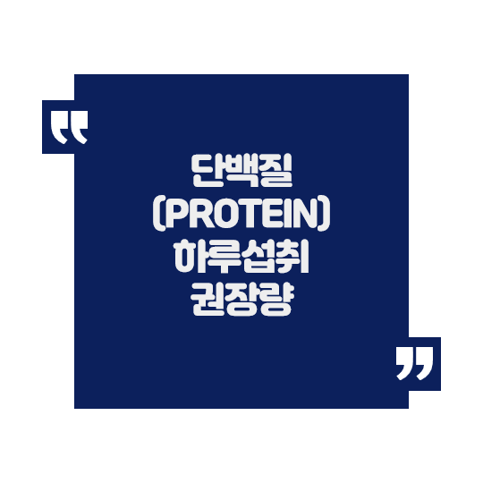 단백질 (protein) 하루 권장 섭취량 정리