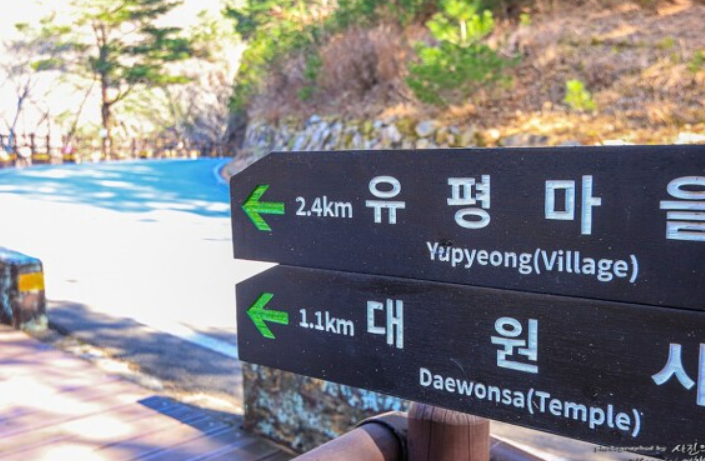 [산청 여행 모음] 대원사 계곡 삼장교 펜션 대포숲 캠핑장