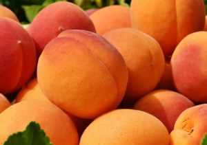 복숭아(Peach) 효능 및 먹는 방법