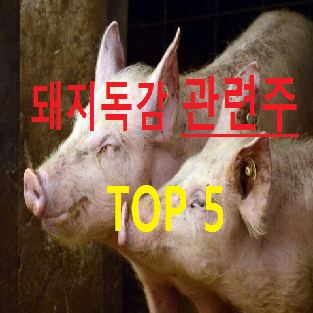 돼지독감 관련주 대장주 총정리 TOP 5 핵심종목