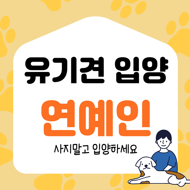 윤지성,김나운,트와이스 모모,블랙핑크 로제,마마무 문별 유기견 입양