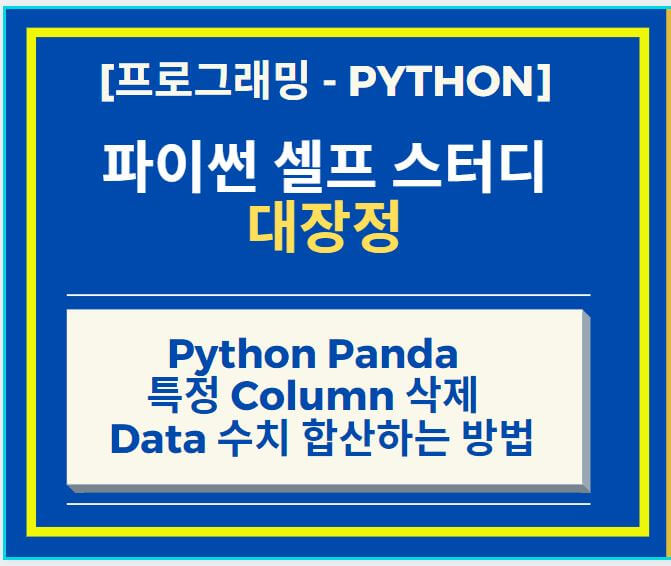 Python Panda Column 삭제 및 Data 수치 합산하는 방법