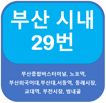 부산 29번 버스 노선 정보 안내, 종합터미널, 부산대, 동래, 서면