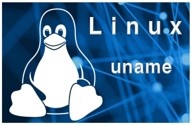 리눅스 uname 명령어 옵션 시스템 정보, 커널 정보 확인하기