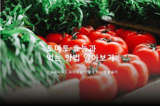 다이어트 할 땐 토마토? 칼로리 및 효능, 먹는법 알아보기
