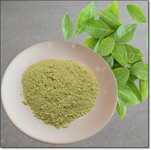 천연 헤나 가루 효능 및 부작용, 헤나 잎 영양 성분