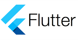 [Flutter]  Flutter 개발을 시작한 이유