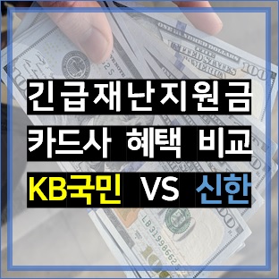 직접 찾아본 국민카드 VS 신한카드, 재난지원금 카드사 혜택 전격 비교!