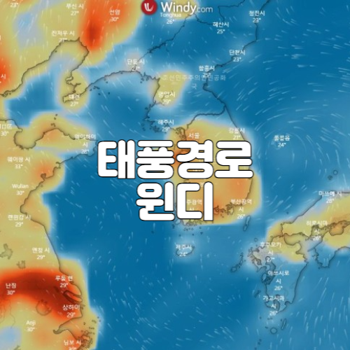 윈디닷컴 태풍 날씨 확인할 때 유용하게 쓰기 좋은 사이트 어플