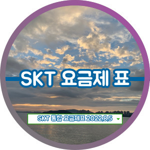 SKT 요금제 총정리 2022년 8월 5일 기준 업데이트