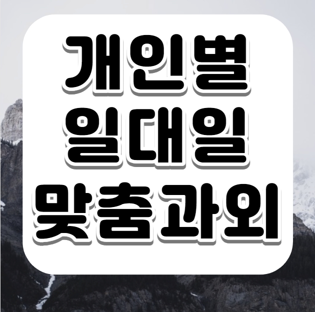 밀양 영어과외 중학생 고등학생 초등학생 창녕 수학과외 중1 중2 중3 전문 일대일 맞춤 내신 정시 수시