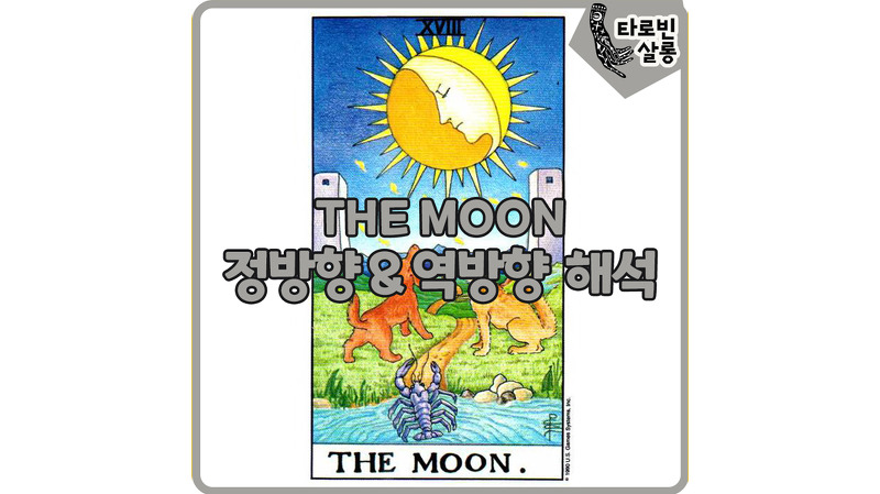 [웨이트 타로 해석] 18. The Moon  달 카드의 정방향 & 역방향 의미 해석
