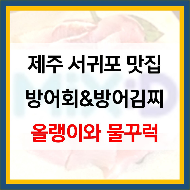 올랭이와 물꾸럭 방어회 방어김치찌개 서귀포 맛집 위치 정보