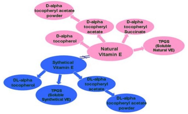 비타민 E ,토코페릴 아세테이트란 무엇인가?