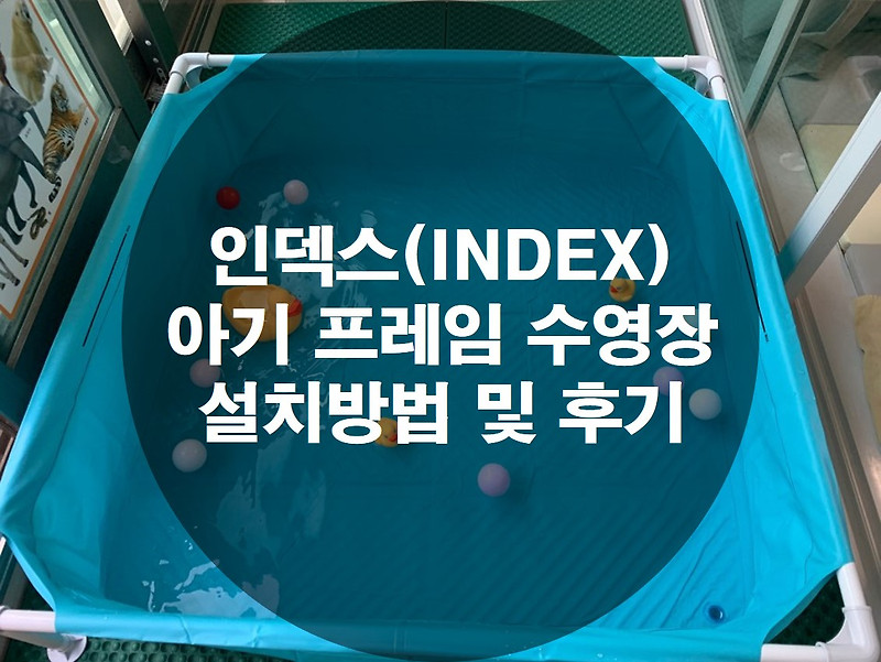 인덱스(INDEX) 아기 프레임 수영장 설치방법 및 후기