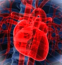 심근염 원인과 진단 방법 정리