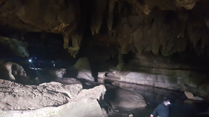 [뉴질랜드 북섬여행 5]와이푸동굴 Waipu Caves - 반딧불이 무료 글로우웜동굴, 종유석동굴