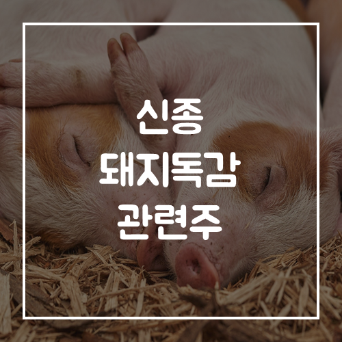 신종 돼지독감 관련주 돼지열병 바이러스 수혜주