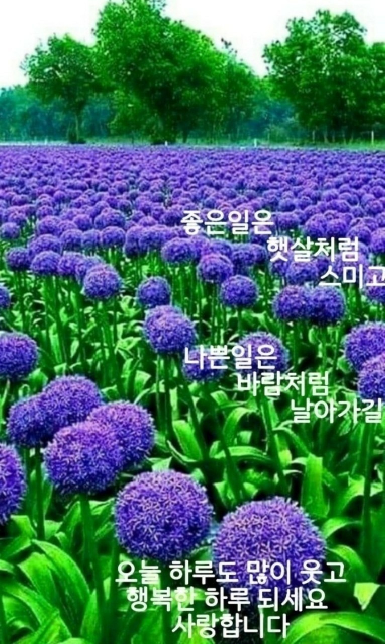 오늘의 좋은글 327번째 시련은 우리삶을 완성시키는  최고의 동반자 입니다.