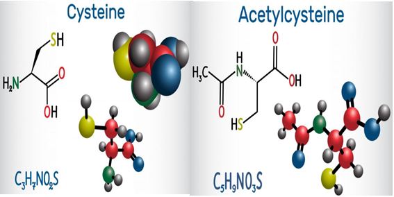 엘시스테인(L Cysteine)과 N 아세틸 시스테인(NAC ,N-acetylcysteine)