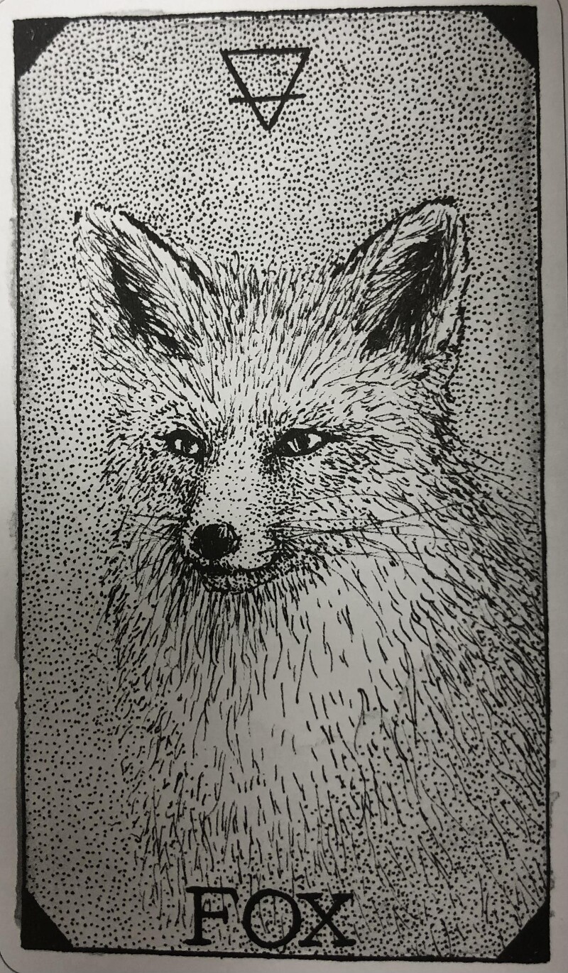 [오라클카드배우기/와일드언노운애니멀스피릿]The Wild Unknown Animal Spirit Fox 여우 해석 및 의미