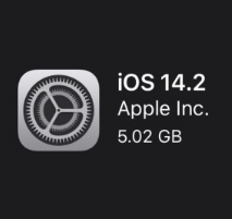 iOS 14.2 업데이트 / 애플워치 심전도(EGC), 부정맥 알림 기능
