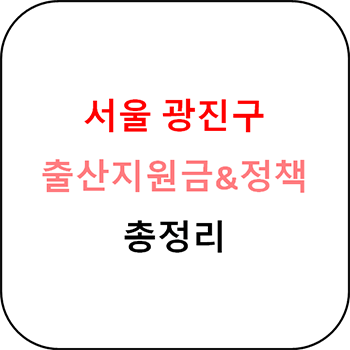 서울 광진구 출산장려금 및 지원정책 총정리