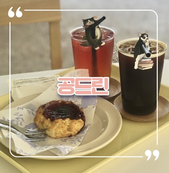 홍대 연희동 티• 스콘 맛집 | 반려동물 동반 가능 티카페 공드린
